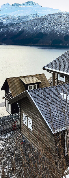 Dirbame Lietuvoje ir Skandinavijoje