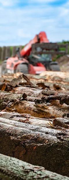 Patys perkame ir ruošiame medieną