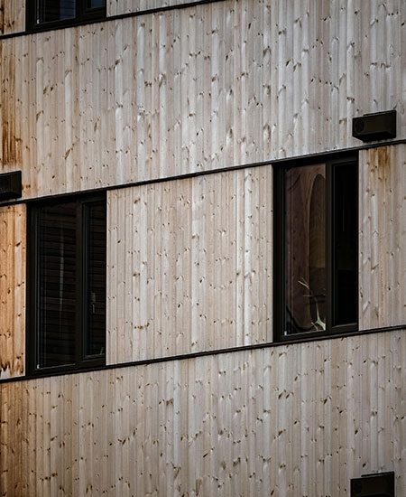 Medinės lauko dailylentės