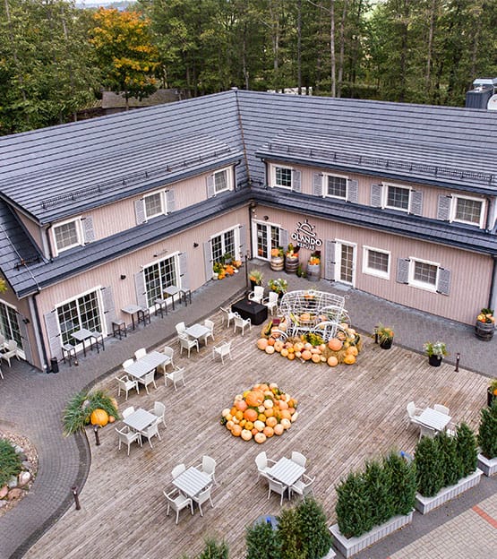 Šlaitinio stogo medinė konstrukcija